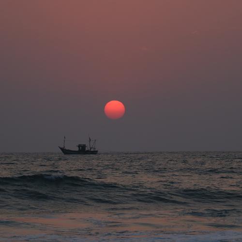 Photo #4072930