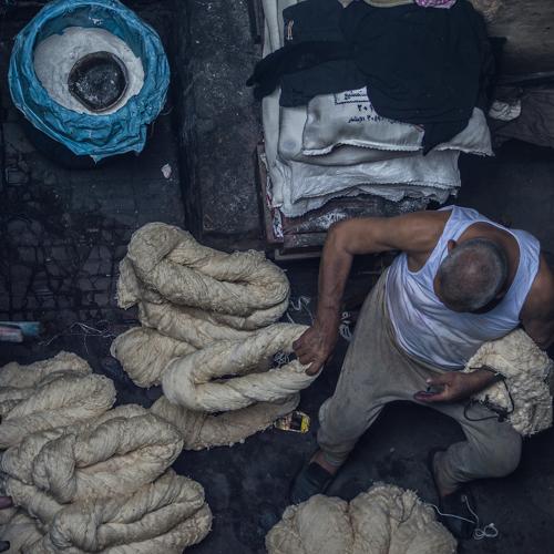 Photo #4073207