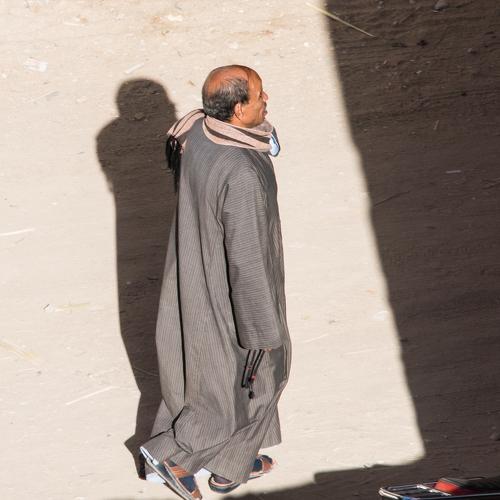 Photo #4073213