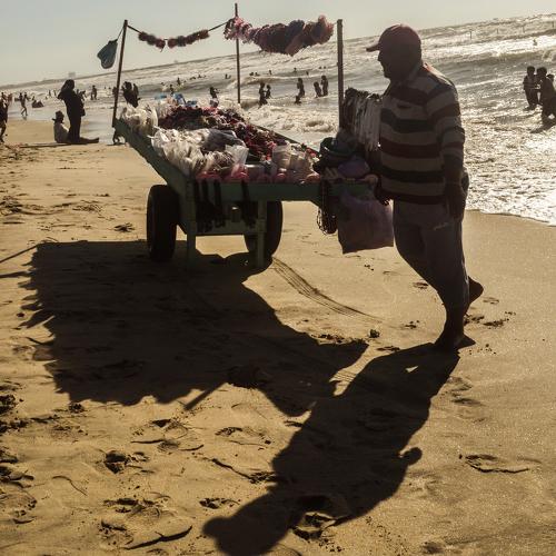 Photo #4073216