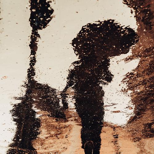 Photo #4073252