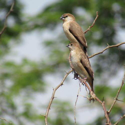 Photo #4073400