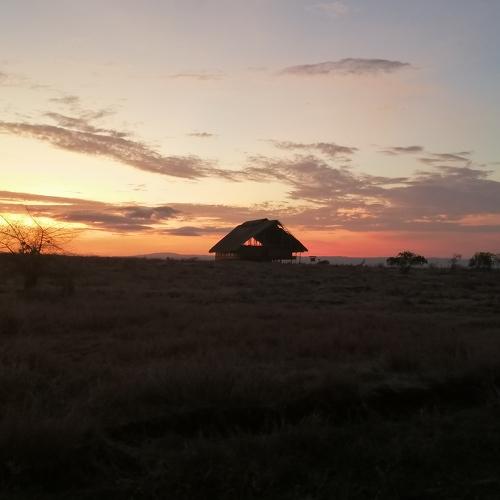 Sunset di Padang Savanna