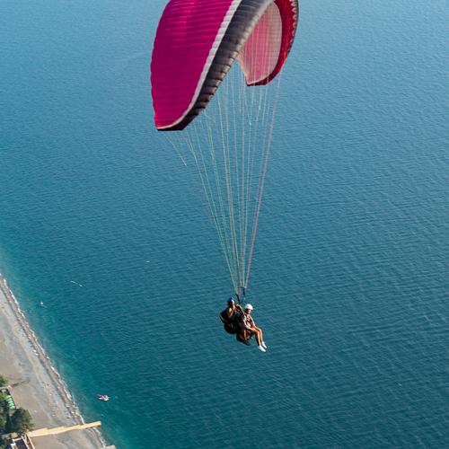 Photo #4073488