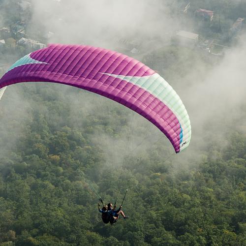 Photo #4073491