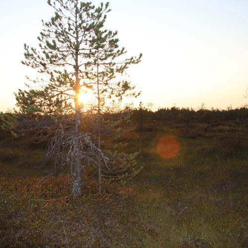 Photo #4073805