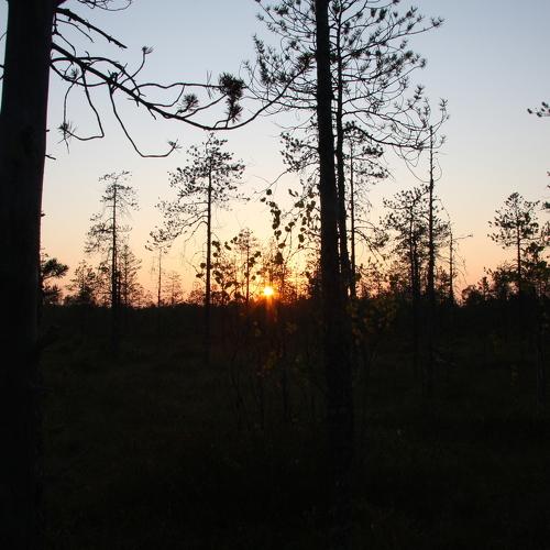 Photo #4073806