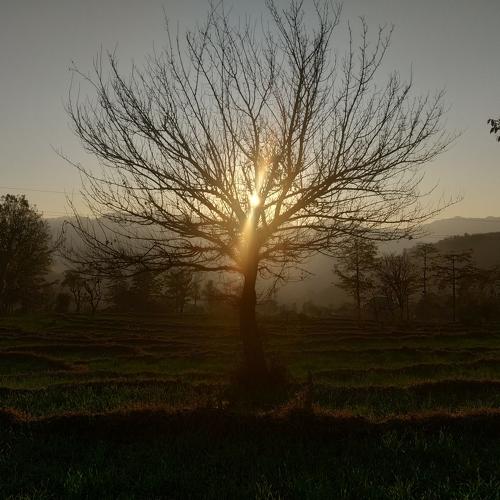 Sun Captured