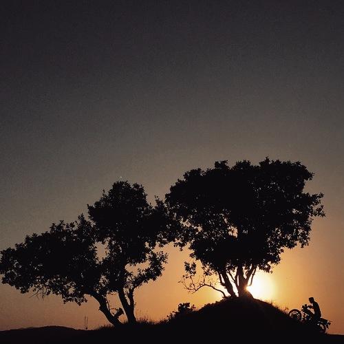 Photo #4074809
