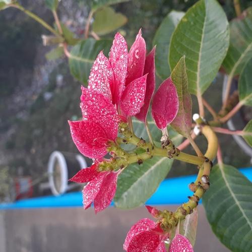 Photo #4074838