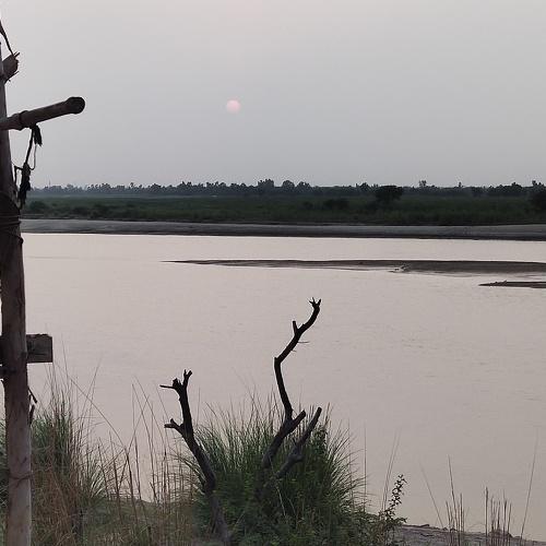 Photo #4074918