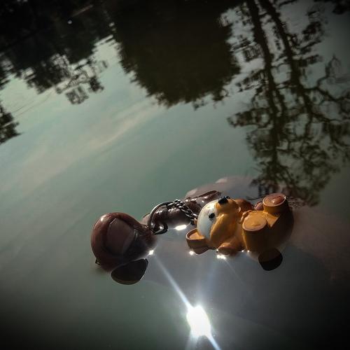 Photo #4075012