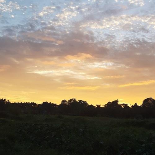 Photo #4075076