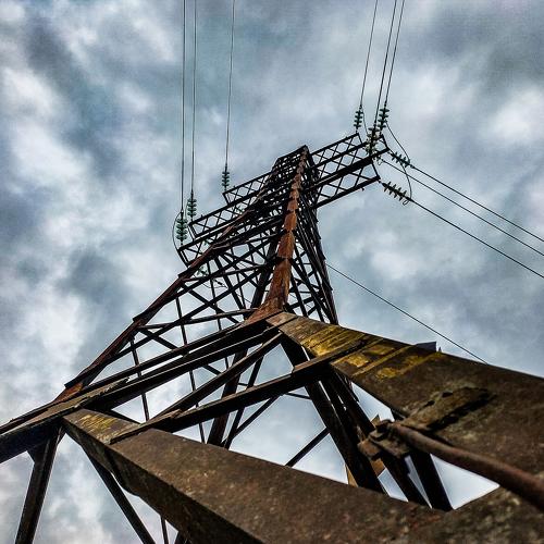 Photo #4075207