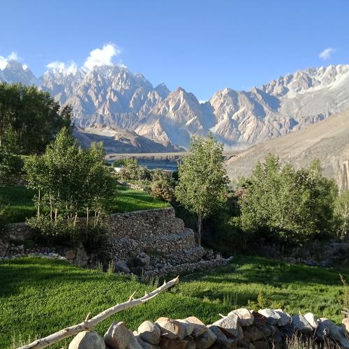 Photo #4075532