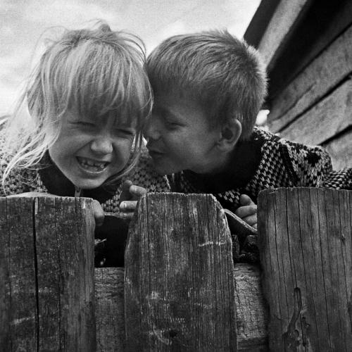 Photo #4075986
