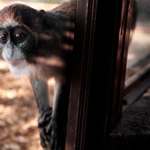 Photo #4076074