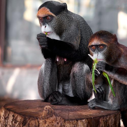Photo #4076076