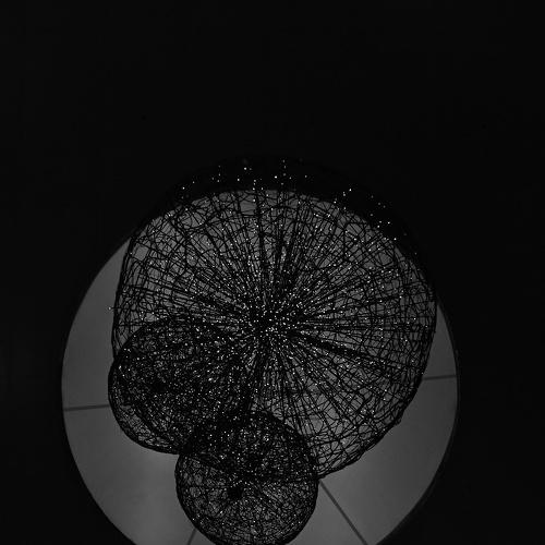 The BRAIN