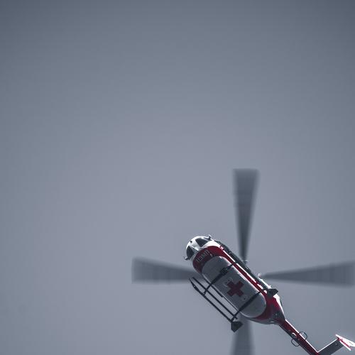Photo #4076748