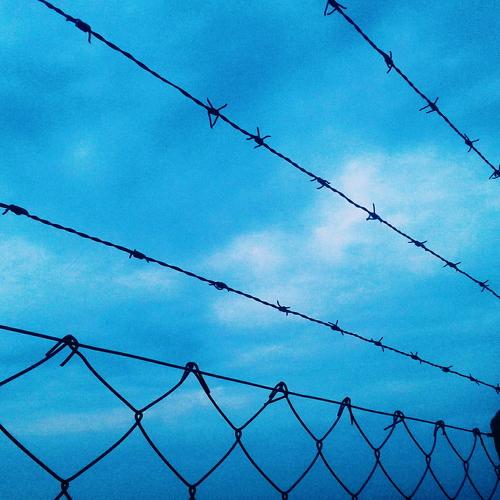 Photo #4076766