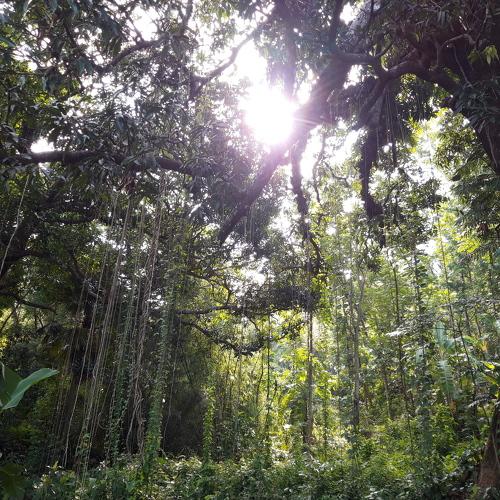 Photo #4076939