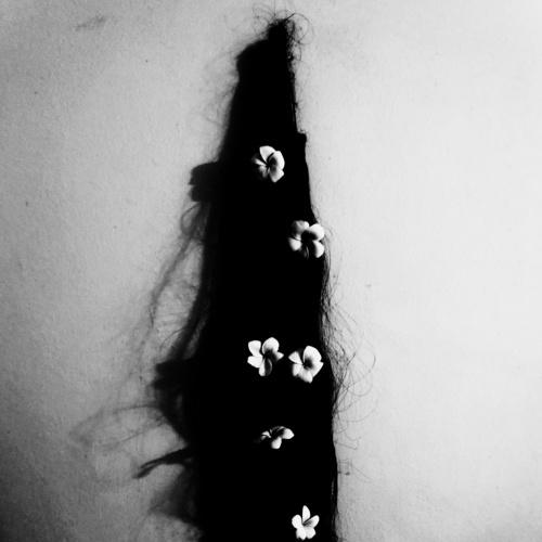 Photo #4076951