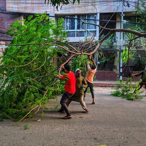 Photo #4076956