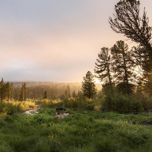 Photo #4077711