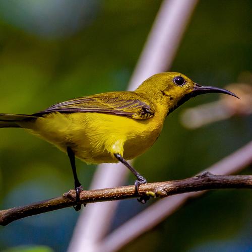 Photo #4078394