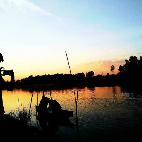 Photo #4078506