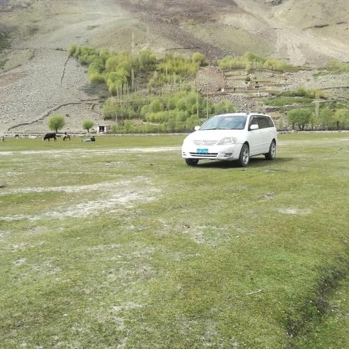 Photo #4078616