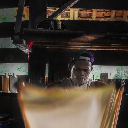 Photo #4078831