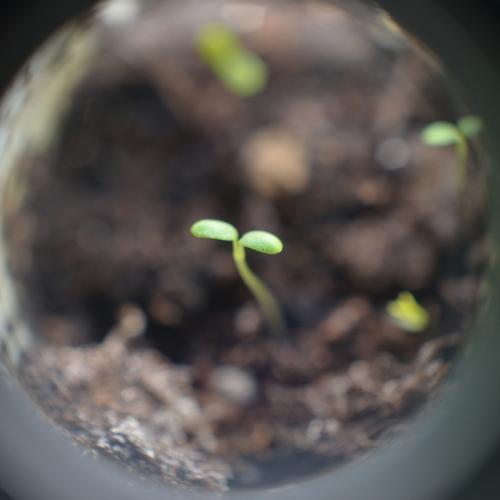 Photo #4078856