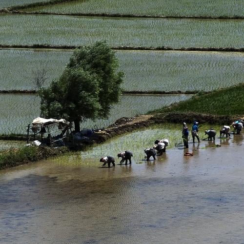 Фотография #4078995