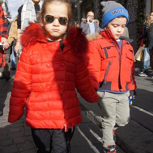 Photo #4079060