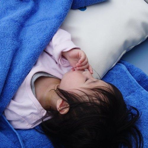 Photo #4079069
