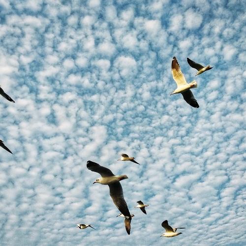 Photo #4079075