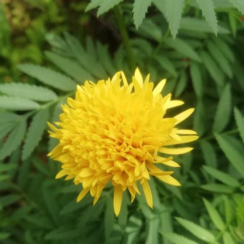 Photo #4079364