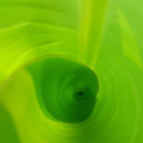 Combination of colour