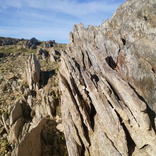 Photo #4079412