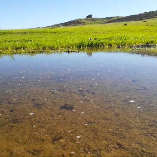 Photo #4079416