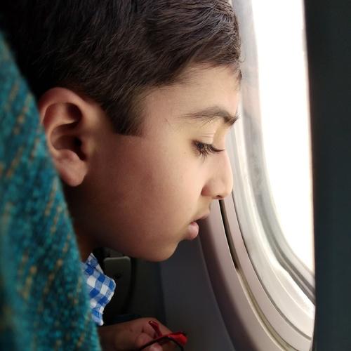 Photo #4079516