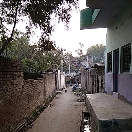 Photo #4079651