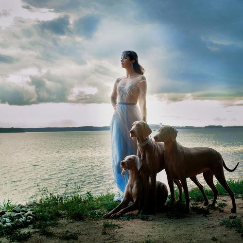 Photo #4079677
