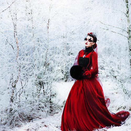 Photo #4079687