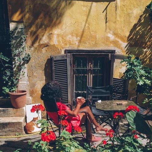 Photo #4079776