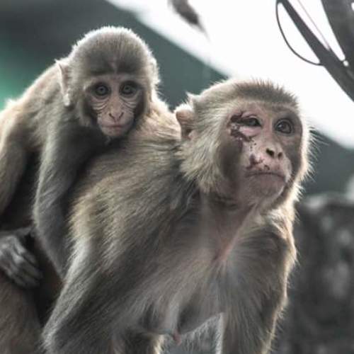 Photo #4080491
