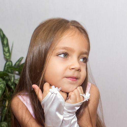 Photo #4080650