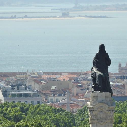 Photo #4080764